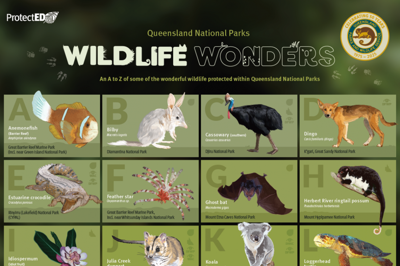 snippet of A-Z colour poster with wildlife illustrations