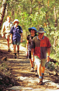 Bush walkers