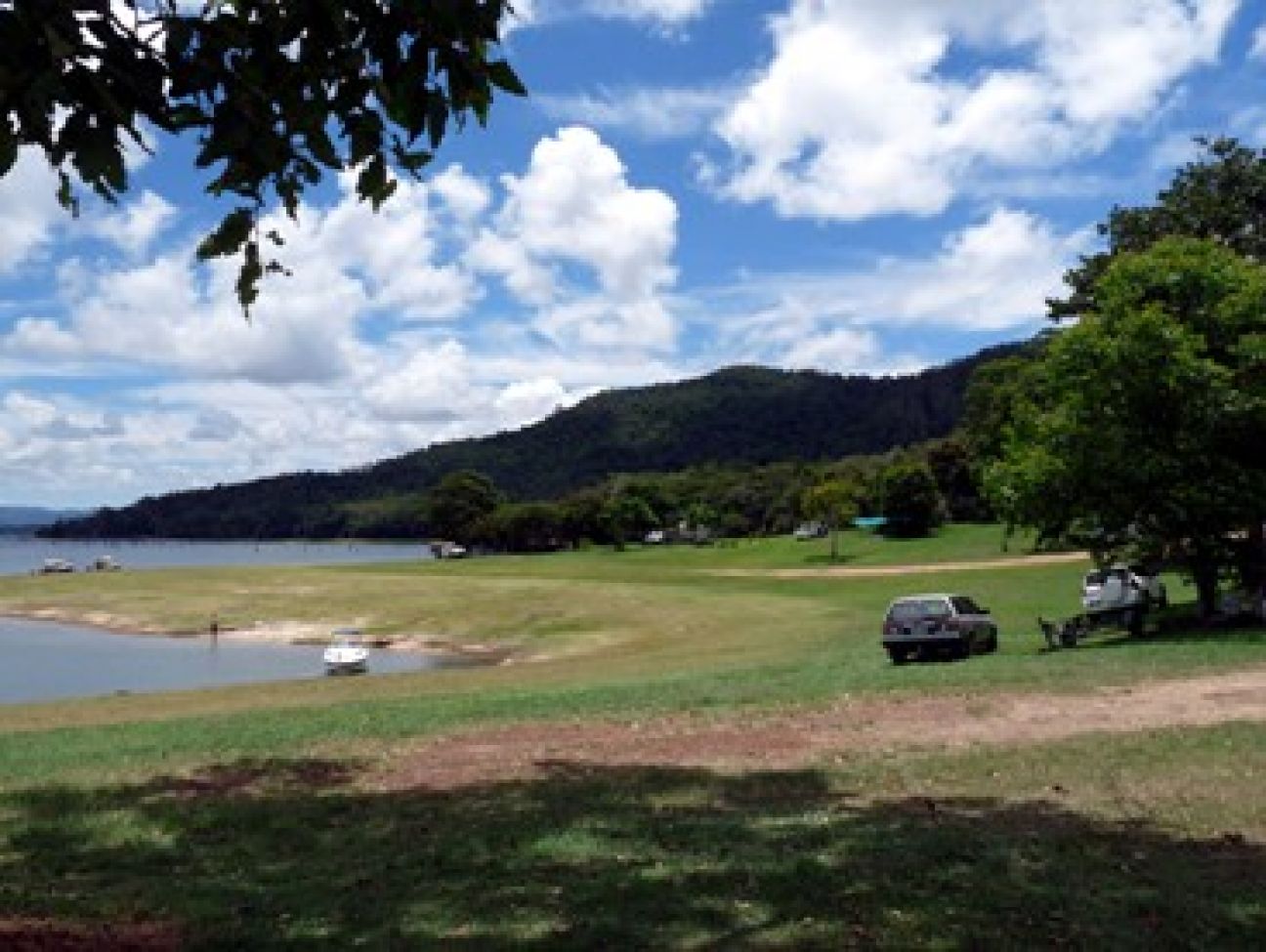 Danbulla National Park and State Forest Tropical North Queensland