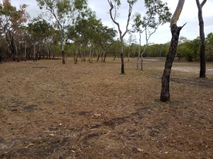 Image of Camping area 2.