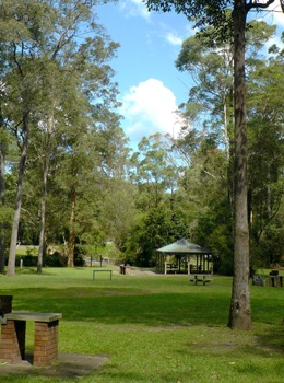 Enjoy a barbecue or picnic at Ironbark Gully picnic area. 