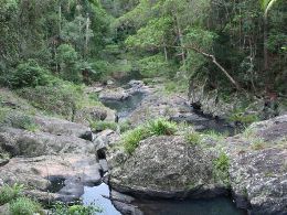 Image of the creek view from Peters Creek walk.