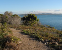 The Round Hill Creek track offers stunning views across Bustard Bay to Eurimbula National Park. 