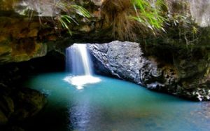 To protect the environment and yourself, stay on the walking tracks and behind the fences at Natural Bridge. 
