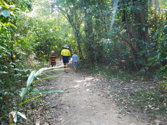 Wander along the Creek walk track and enjoy the birds' calls along the way.