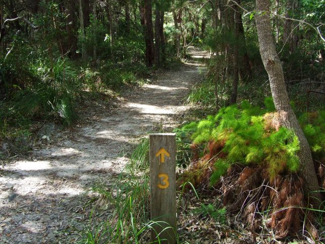 A sandy track under the trees, the Noosa Hill Walk provides a cooler alternative to the beach heat.