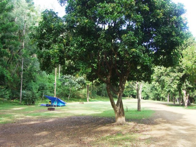 Pitch your tent in the open grassy space of Cedar Grove camping area.