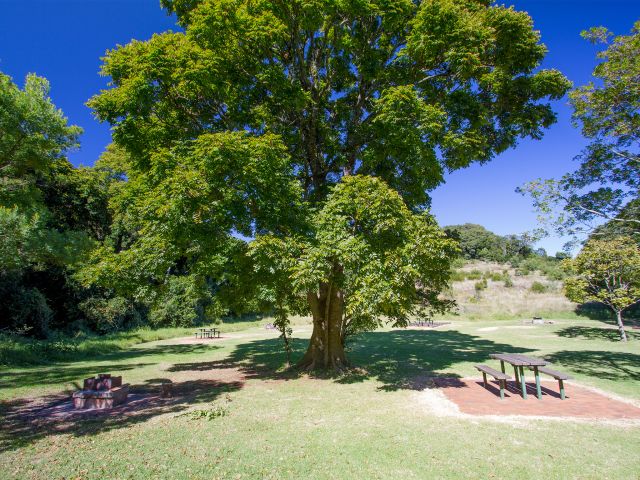 You'll find picnic tables, water, toilets and wood-fired barbecues at Westcott camping area.