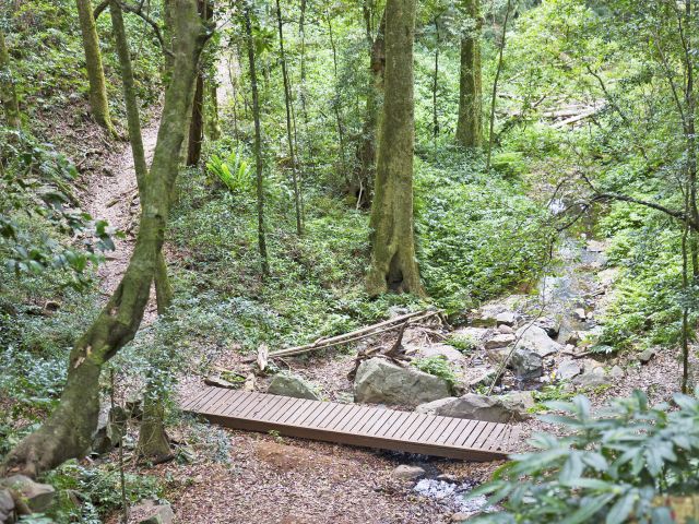The Scenic circuit crosses creeks in the forested valley.
