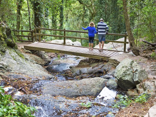 Experience the best of the Bunya Mountains National Park on the Scenic circuit.