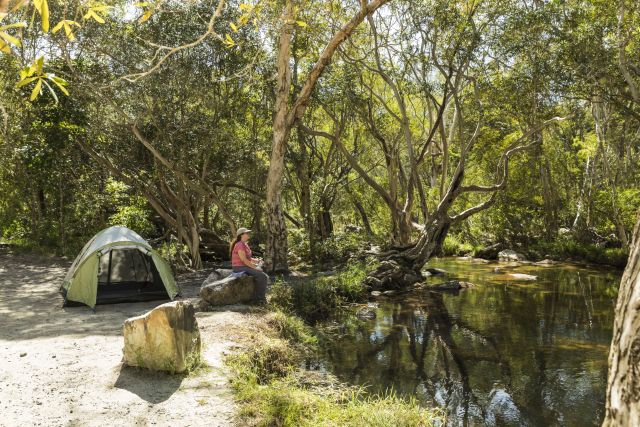 Photo of Camp site 2, Upper Davies Creek camping area