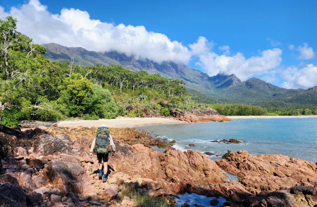 Hiker walking along the coast of the Thorsborne Trail.