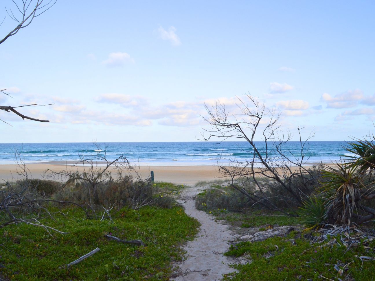 Photo of a sandy path meandering towards the beach