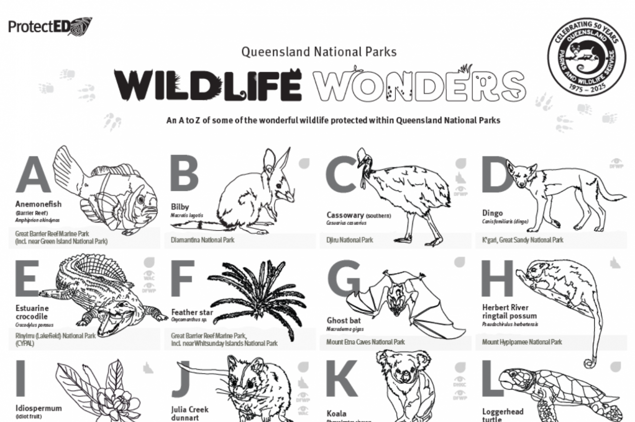 snippet of A-Z wildlife black outline illustrations for colouring in