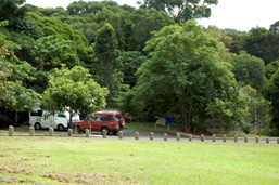 Speewah camping area.