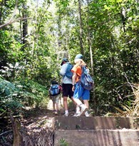 A steep side track leads to the falls. 