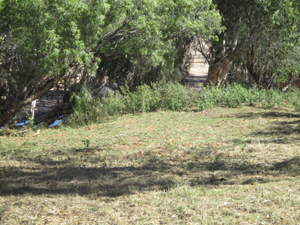 Camp site 1. 