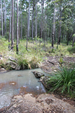 Rocky Creek, Parklands Conservation Park.