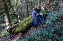 Two people sitting on a log in the forest, reading the park map.