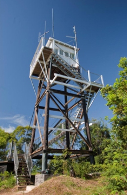 A detour from the Great Walk leads to Mount Allan fire tower. 