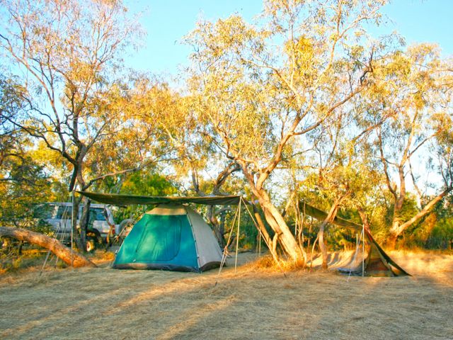 Pitch your tent under shady coolabah trees at the Gum Hole camping area.