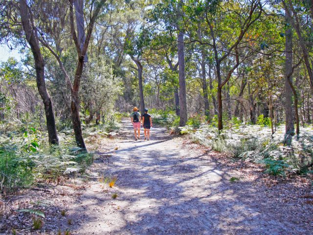 The Banksia track is a great walk for the whole family.