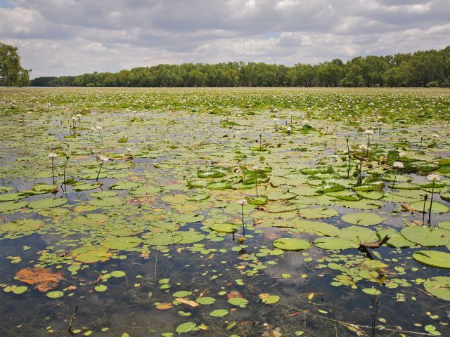 Camp with picturesque vistas of Sweetwater Lake.