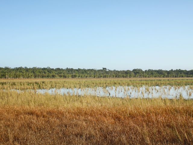 Lake Emma is a unique, round lake on top of a sand ridge.