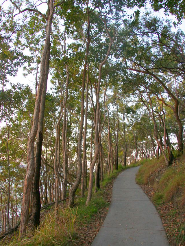 The Coastal Walk to Dolphin Point is wheelchair and stroller-accessible.
