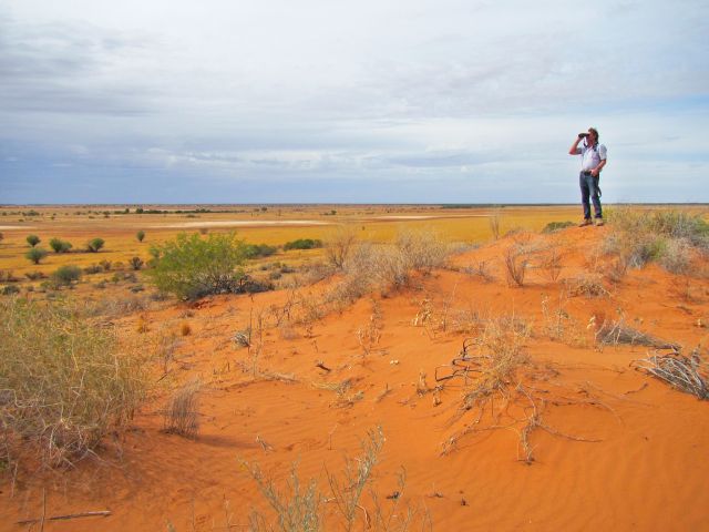 See for miles across the vast, yet ever-changing, Diamantina landscapes.