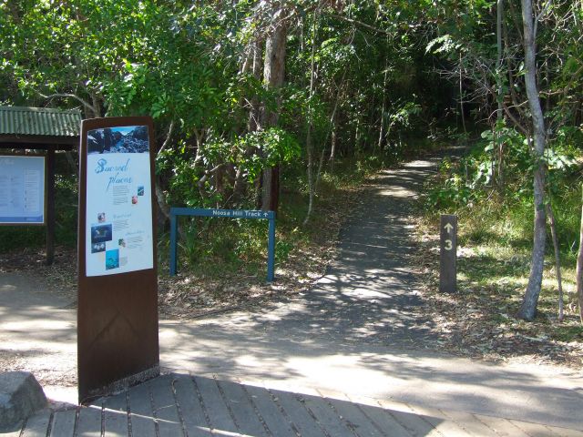 The Noosa Hill Walk begins past the information display.