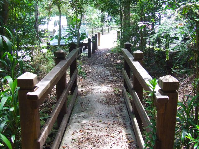 From the car park, cross the bridge and enter the peaceful shady forest.