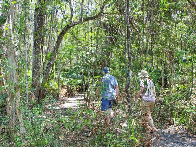 Listen to the bird calls as you wander along this circuit track.