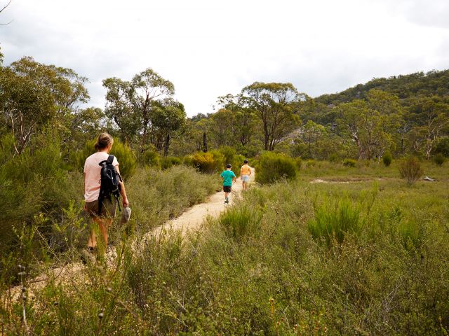 Enjoy an easy walk along Bald Rock Creek on The Junction walk.
