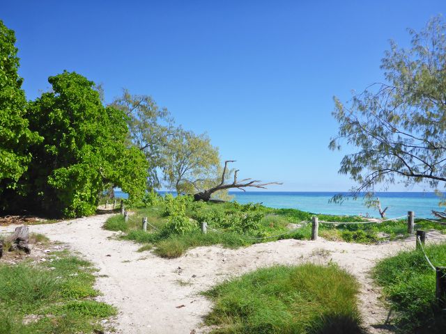 Take in scenic views over the reef from your camp site.