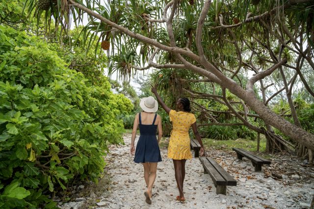 Rich pisonia forests make for a shady stroll across the cay.