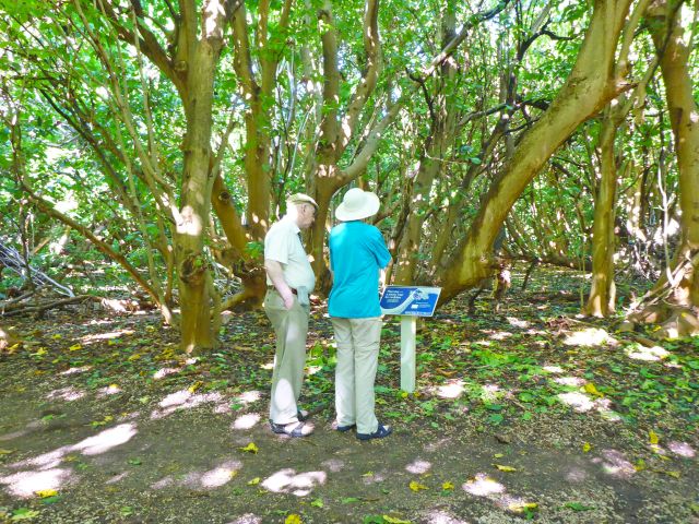Learn all about the island and surrounding waters.