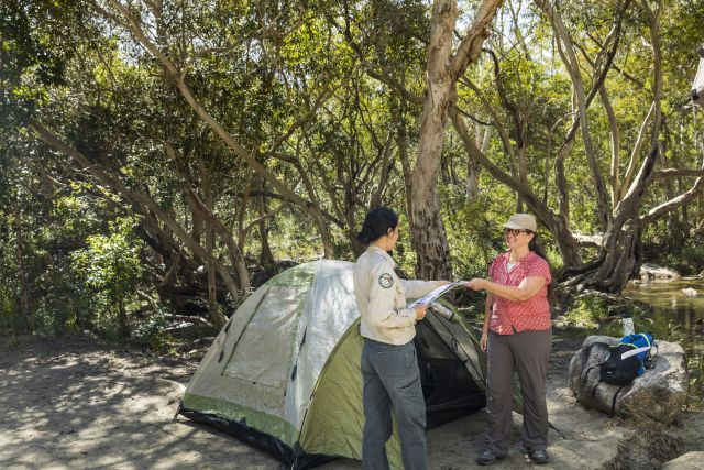 Photo of camping at Upper Davies Creek which is a very popular camping area