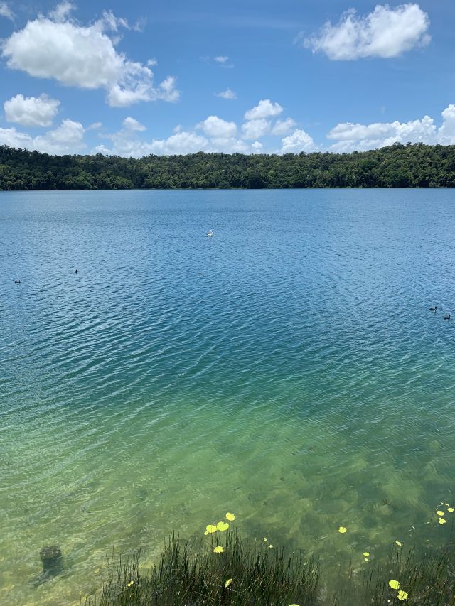 Photo of Lake Barrine.