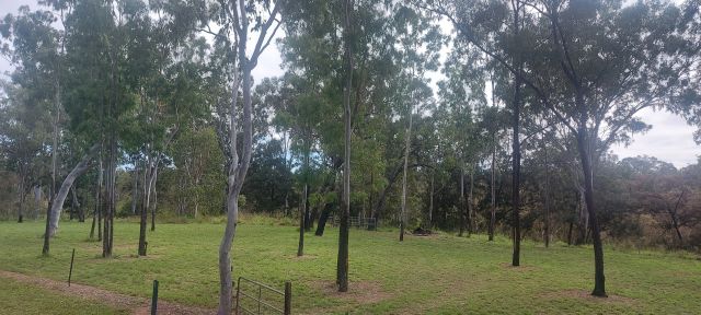 Camp site 1