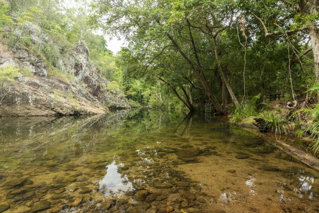 Waterview Creet at Jourama Falls