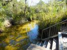 Photo of boardwalk meeting Searys Creek.