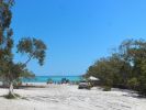 Photo of tree-lined beach with 4WDs parked