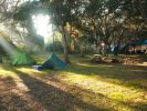 Photo of tents at a sun-dappled camping area