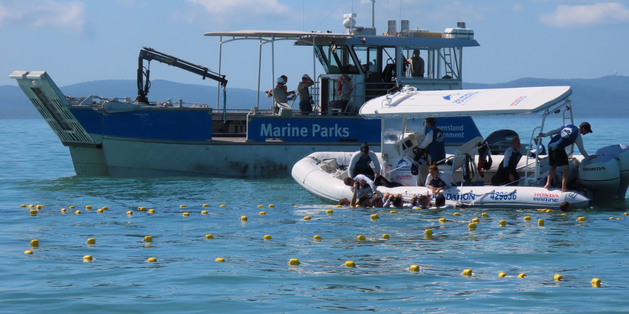 Marine parks boats on water with staff leaning over to rescue stranded dolphin.