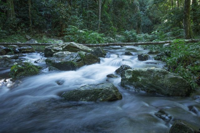 Photo of Stoney Creek when the flow is rapid