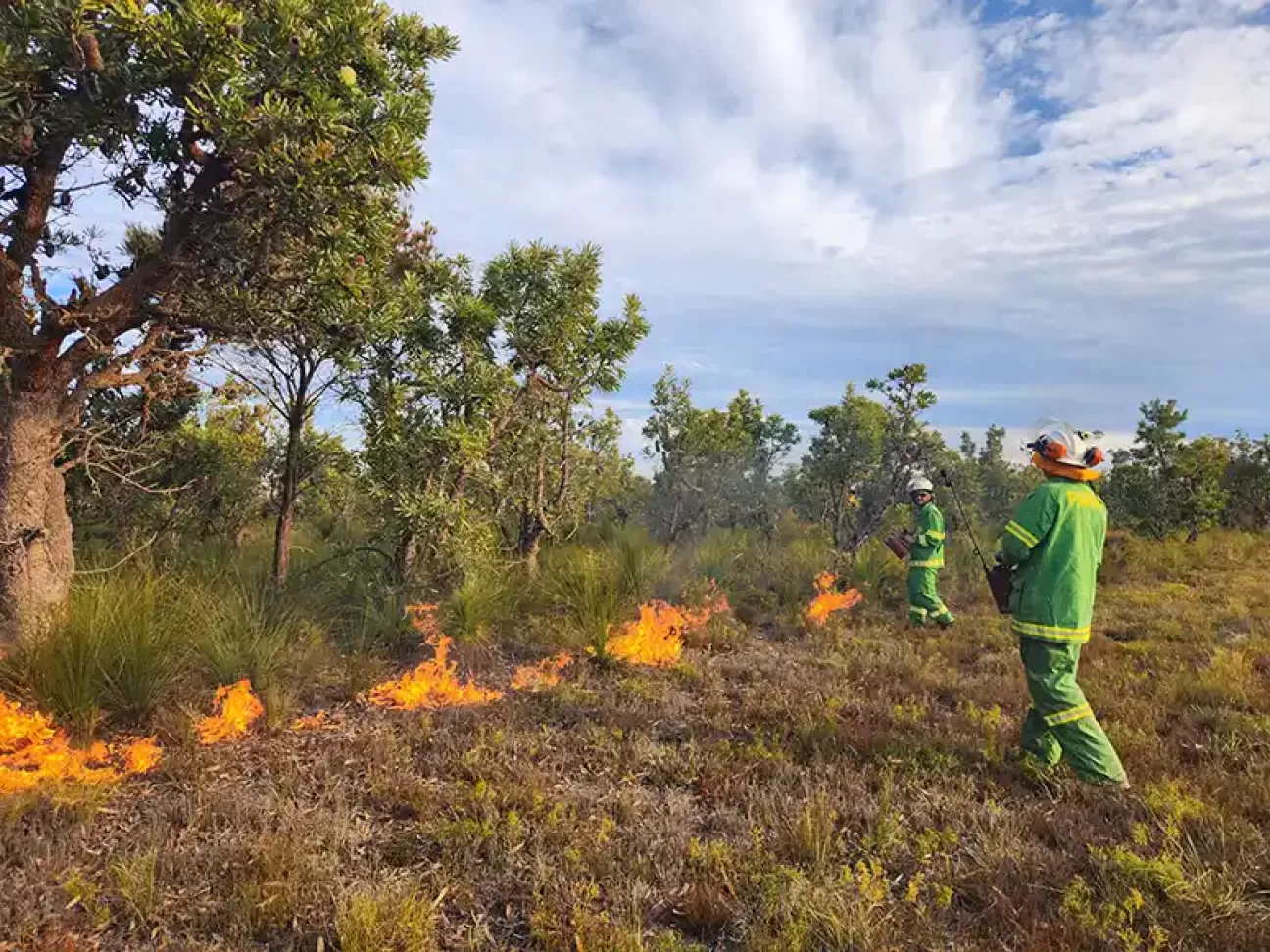 Fire workers at a planned burn on Bribie Island