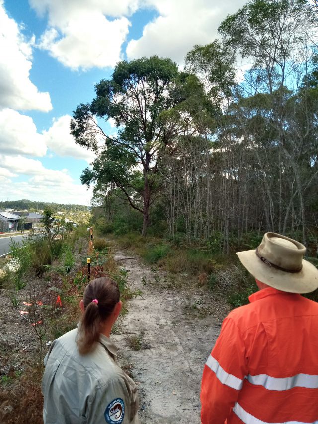 Photo of a ranger and contractor planning a fireline upgrade.