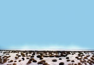 Lake Wyara dries to a vast white saltpan during severe drought. 