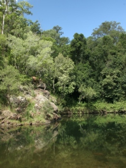 Waterhole close to Cedar Grove camping area
